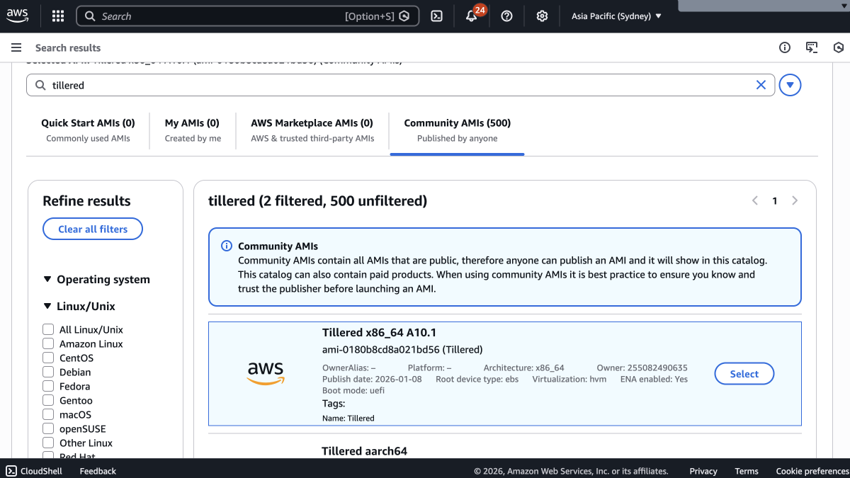 Searching for the Tillered AMI in Community AMIs